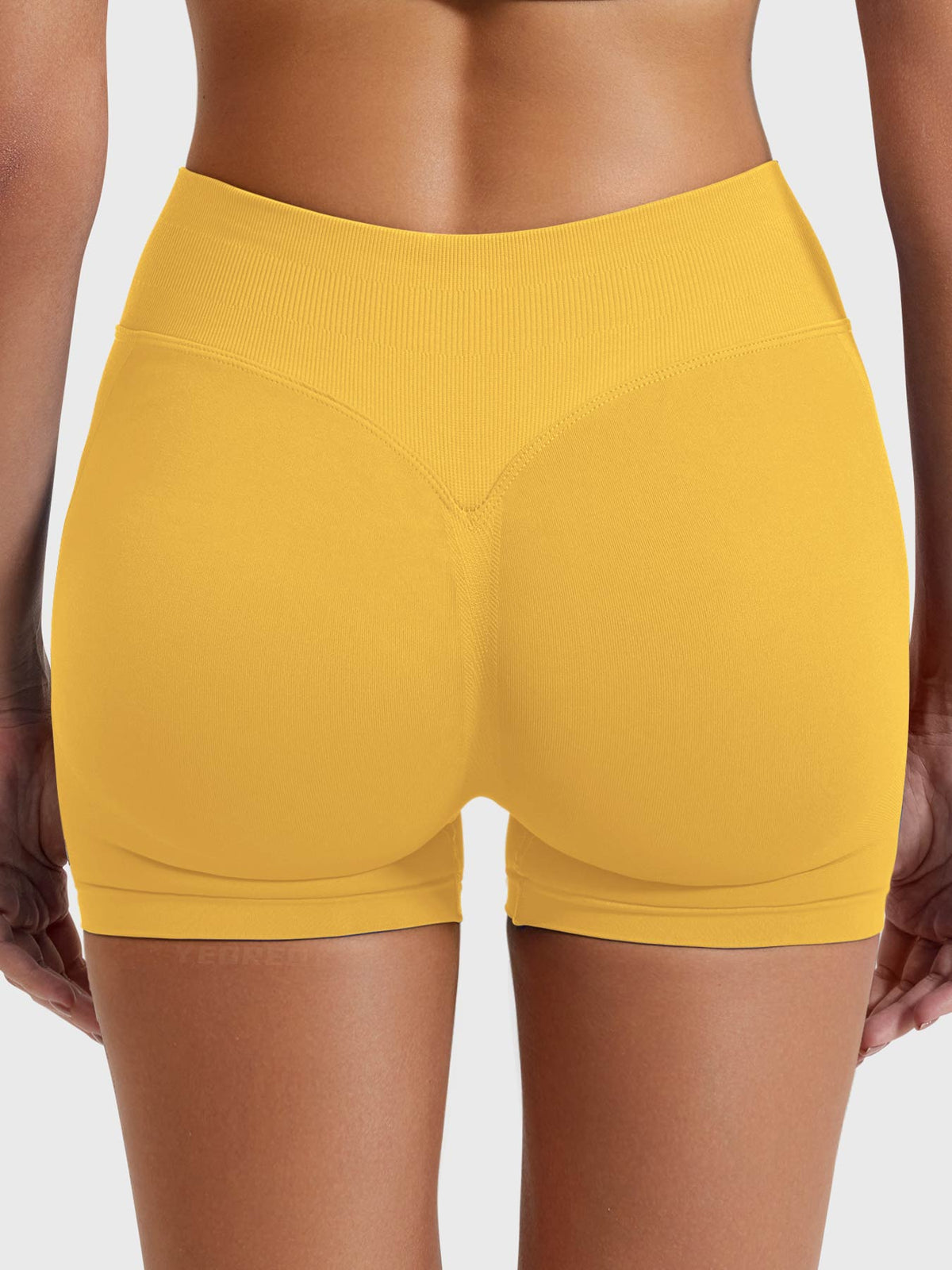 Short Movaelle Contour sin costuras 2,5"